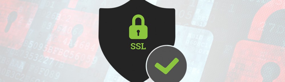 SSL SSL certificate