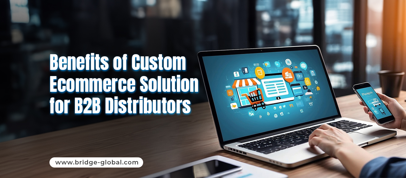 Customized Ecommerce Solution for B2B Distributors