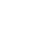 Bridge Global Logo